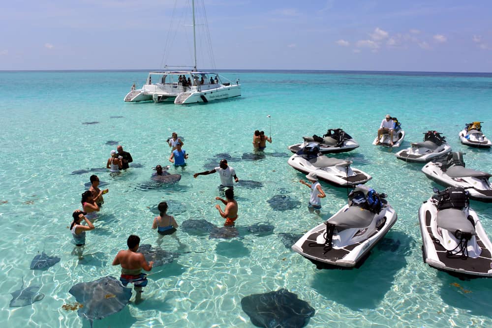 cayman islands stingray city tour