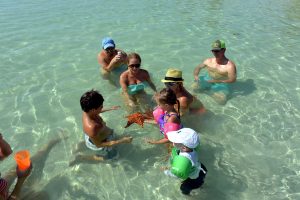 Starfish beach cayman 3